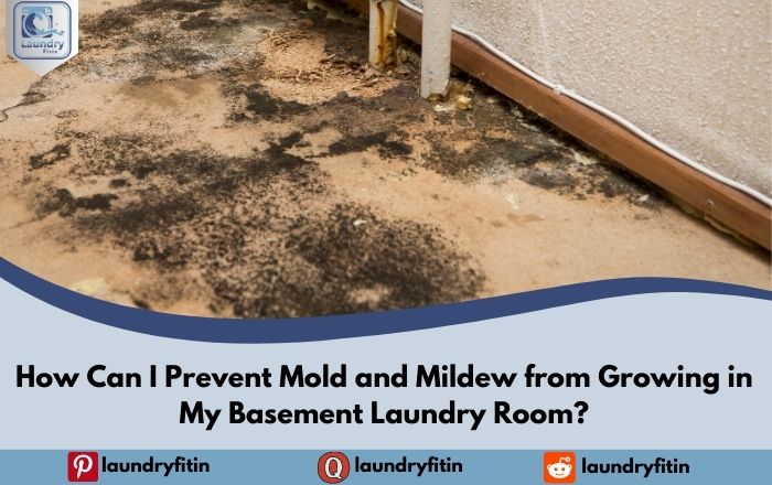 How Can I Prevent Mold and Mildew from Growing in My Basement Laundry Room?