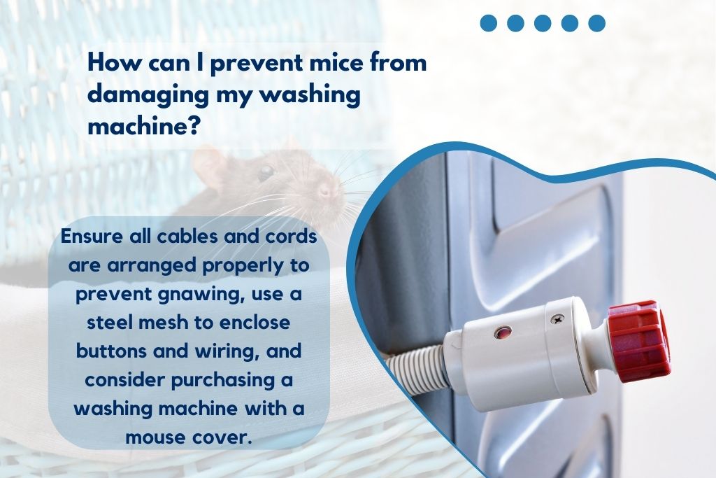 How to prevent mice from damaging a washing machine?